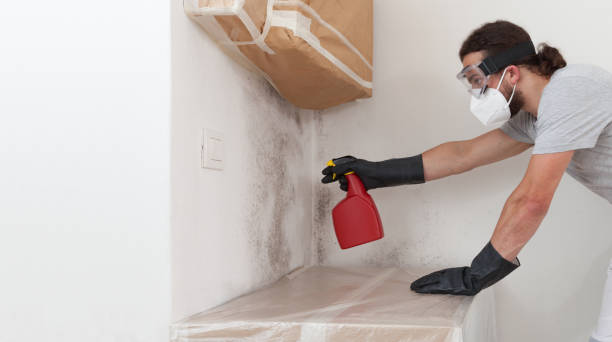 Professional Mold Inspection And Testing technician working in Jordan, NY